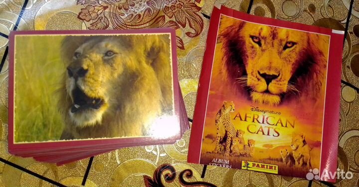 Panini Африканские кошки (2011) Disney