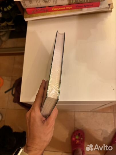 Пелевин Тайные виды на гору Фудзи