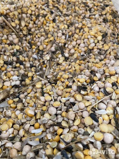 Отходы нута