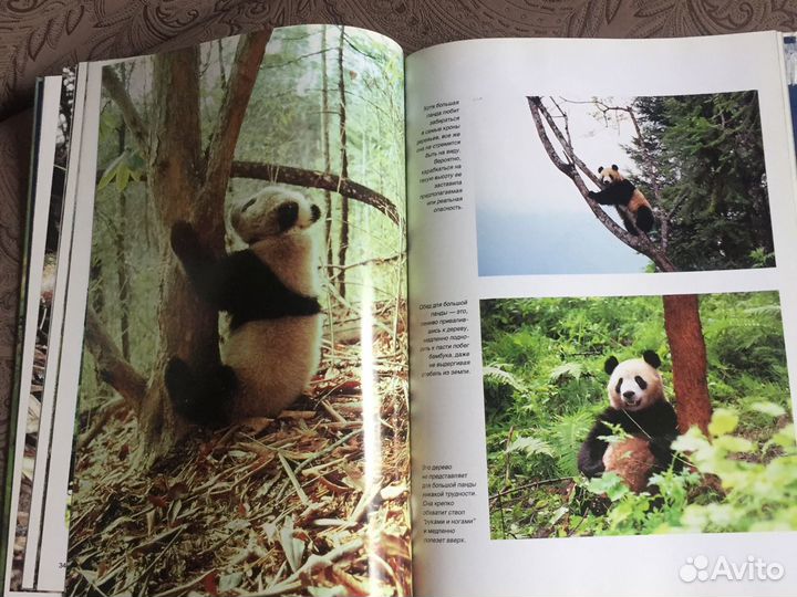 Книги новые