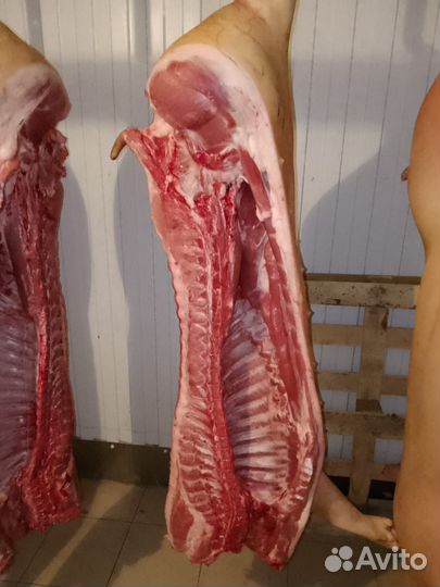 Мясо свинина полутуши