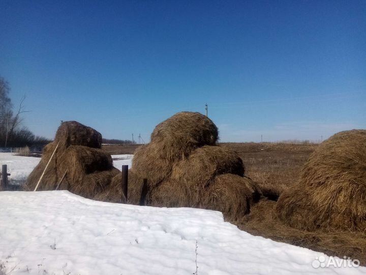 Продаётся сено