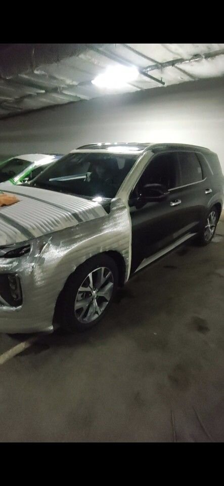 Hyundai Palisade: фото владельца