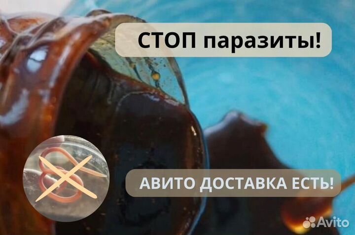 Мед с травами от паразитов в организме