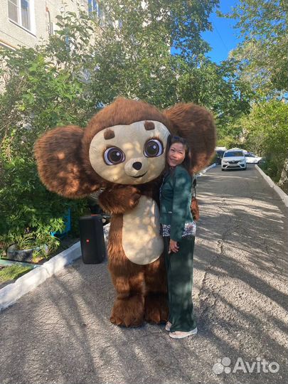 Белый Мишка /Панда / Чебурашка Поздравление