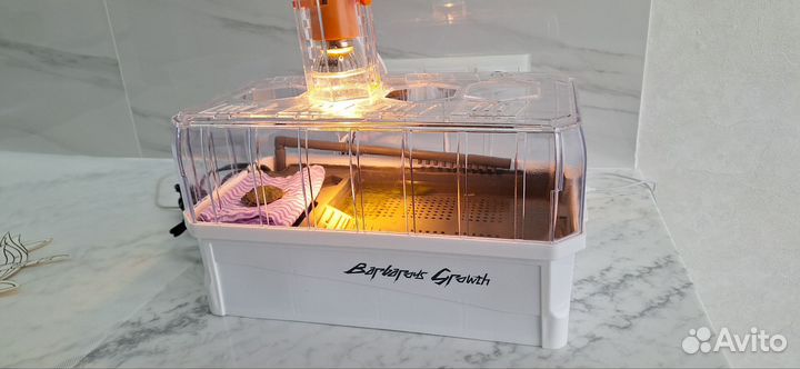 Аквариум для черепашки