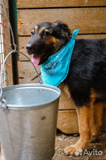 Лепс, подросток спасите мальчика