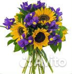 Букет из 7 подсолнухов и 16 ирисов, цветы доставка