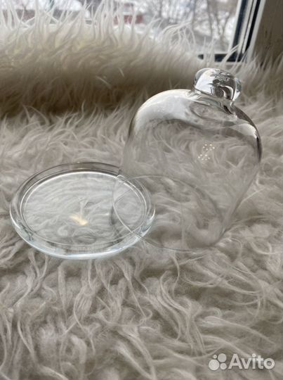 Контейнер для лимона