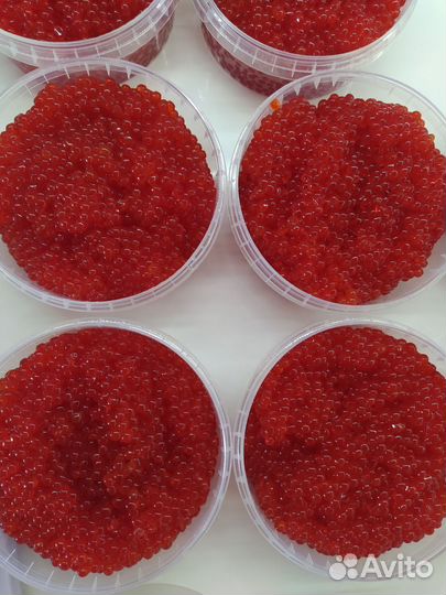 Икра красная кета, горбуша 2023