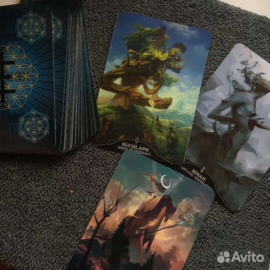 Angelarium taro