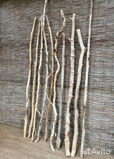 Морские палочки дрифтвуд от 100 до 220 см