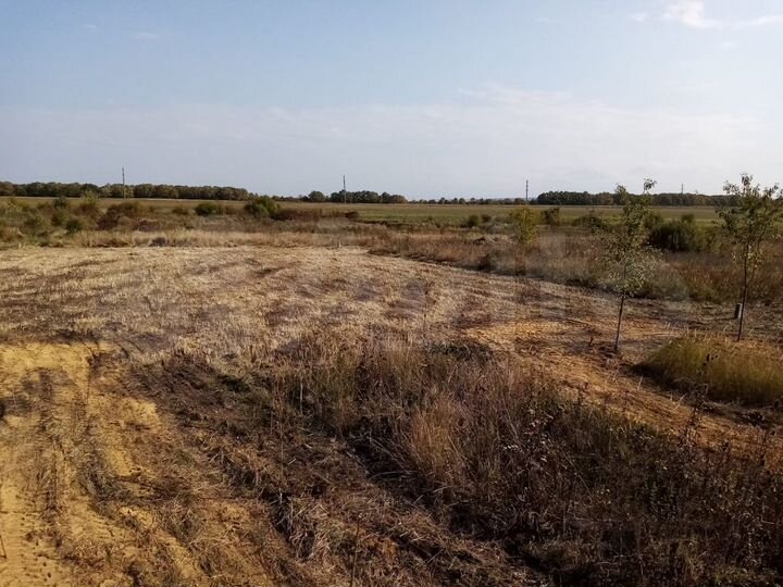 Участок 10 сот. (ИЖС)