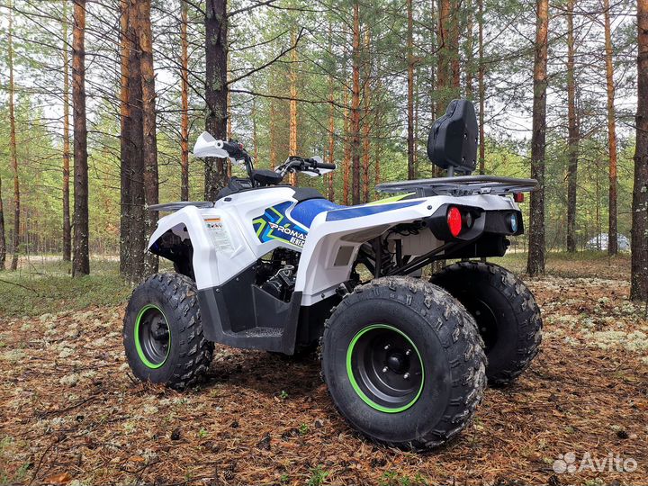 Квадроцикл promax renegade 300