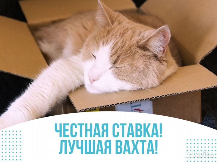 Комплектовщик от 15 смен. Всё включено. Вахта