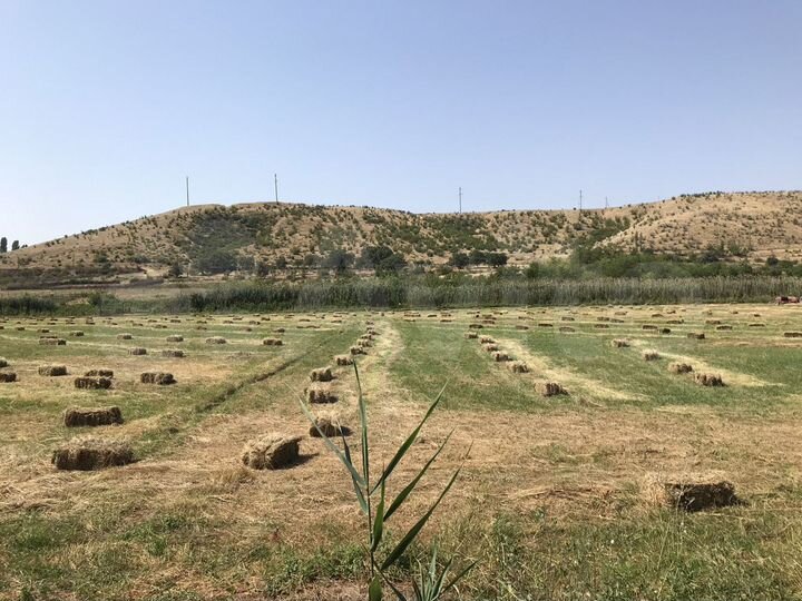 Участок 5 га (СНТ, ДНП)