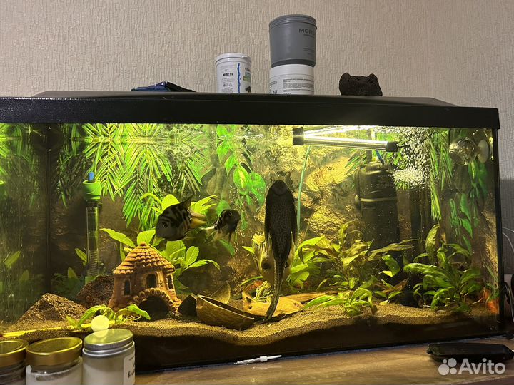 Аквариум 80 литров