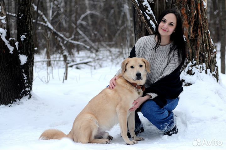 Фотосессия для девушек. Не понравится-бесплатно