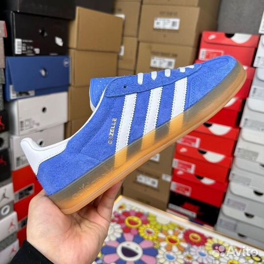 Adidas Gazelle Indoor Blue Bird Gum