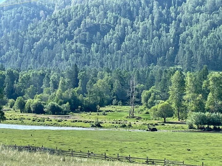 Участок 40 сот. (ИЖС)