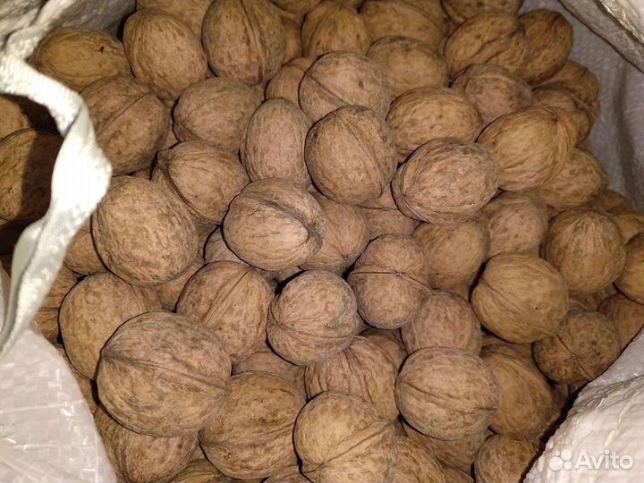 Грецкий орех