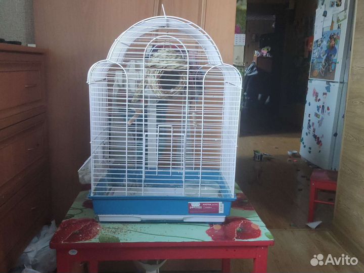 Клетка для птиц