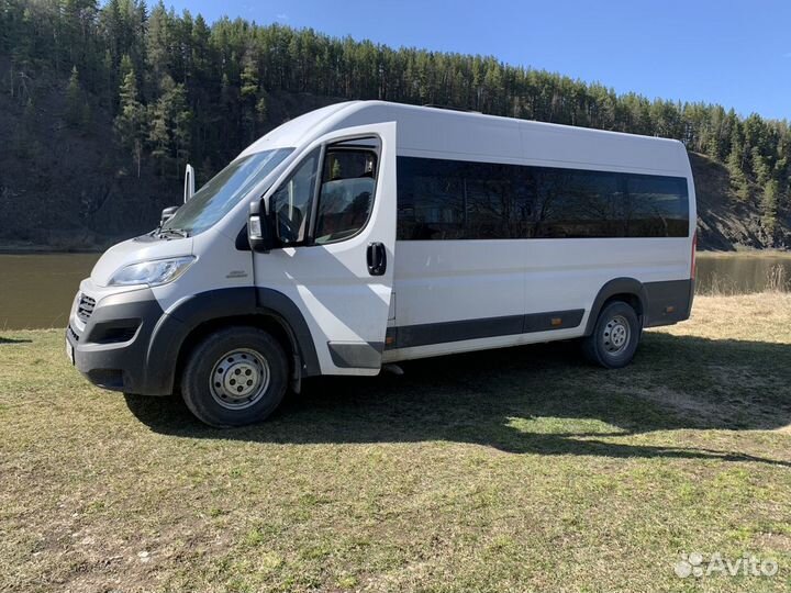 Автобус аренда