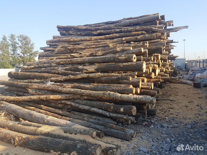 Дрова из бука от 3м3
