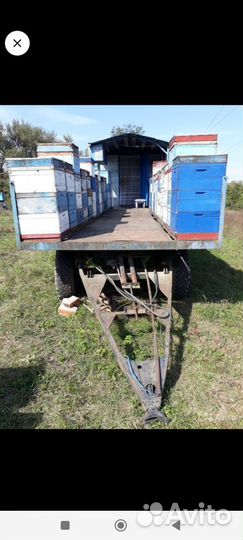 Пчелоприцеп