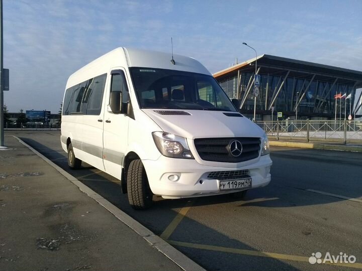 Экскурсии по Петербургу и области