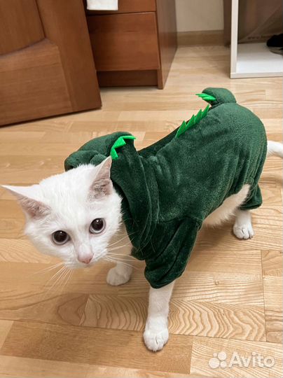 Костюм для животных