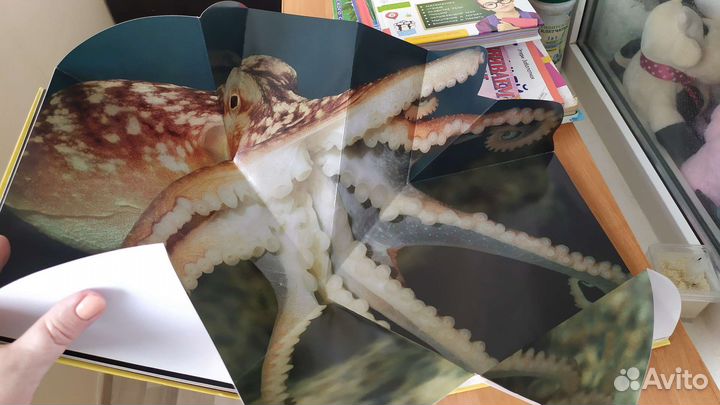 Книга, объёмные фото