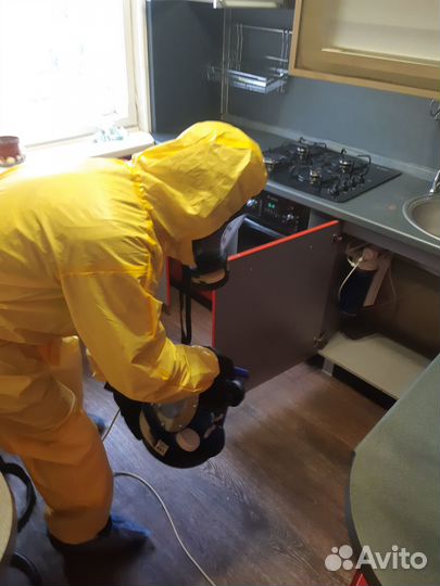 Дезинфекция