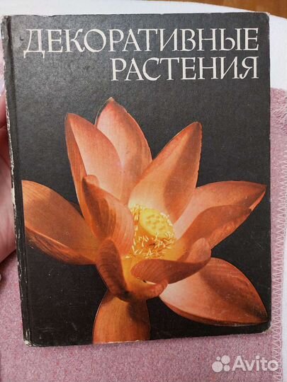 Декоративные растения 1981 г