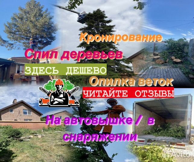 Спил деревьев/ Обрезка деревьев/ Удаление/ Валка