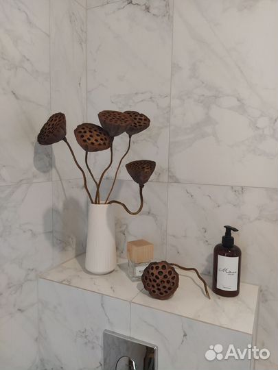 Лотосы сухоцветы