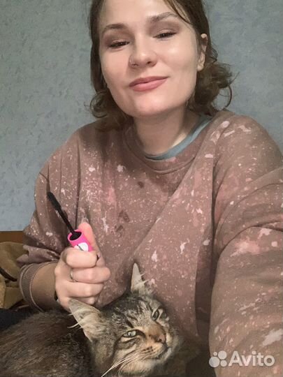Отдам кота в добрые руки