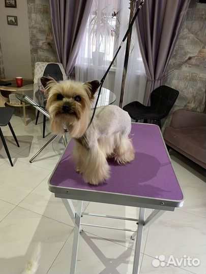 Груминг собак, стриппинг