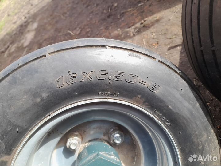 Калеса