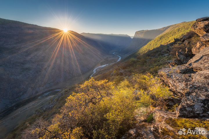 Тур на Алтай