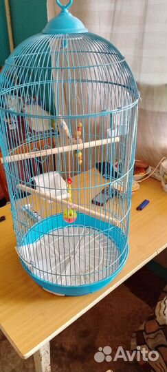 Клетка для попугая