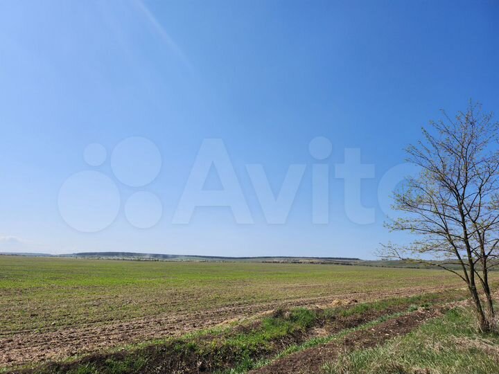Участок 5,4 га (СНТ, ДНП)
