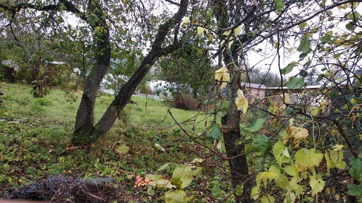 Дом 20 м² на участке 6 сот.