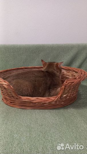 Лежанка для животных