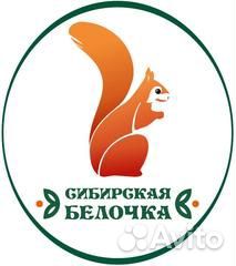 Электромеханик