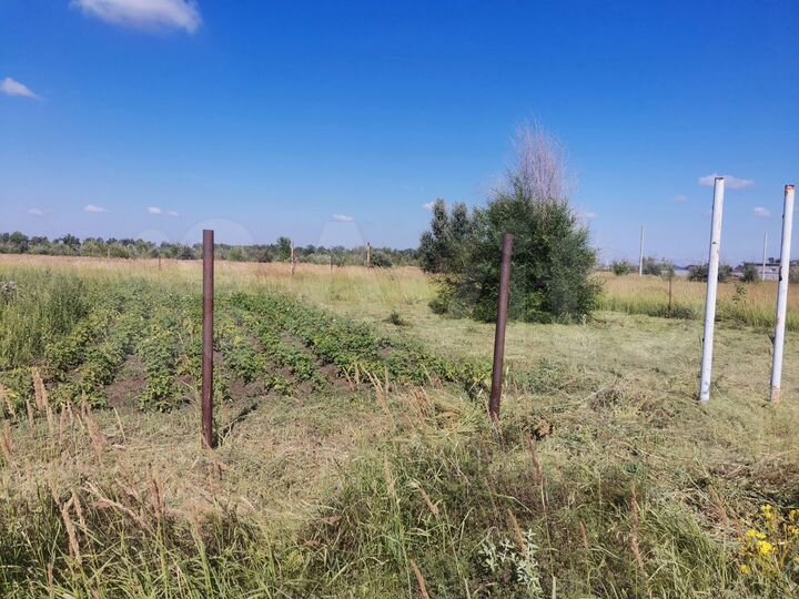 Участок 8 сот. (СНТ, ДНП)