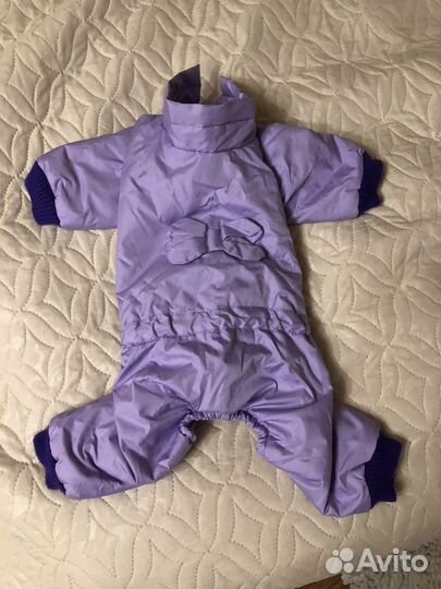 Одежда для собак мелких пород