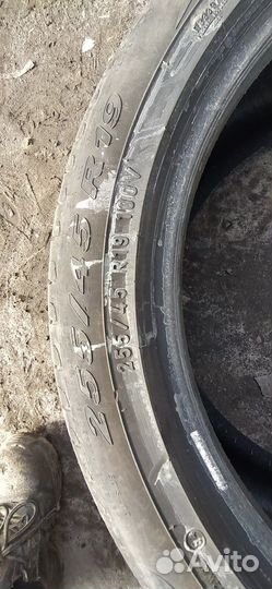 Pirelli Scorpion Verde 255/45 R19 100V