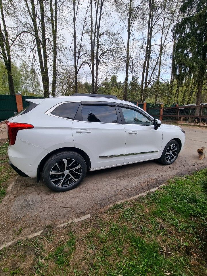 HAVAL Jolion: фото владельца