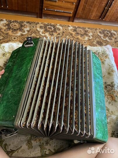 Гармонь Беларусь